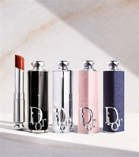 Dior Addict lipstick case